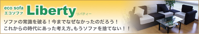 低反発マットレス,低反発クッション,ガラステーブル,TVボード,高反発,低反発,アウトレット家具通販,アウトレット雑貨通販,お姫様ベッド,ソファ,天蓋,シングル,セミダブル,ダブル,各サイズ品揃え(4cm.6cm.8cm.10cm)