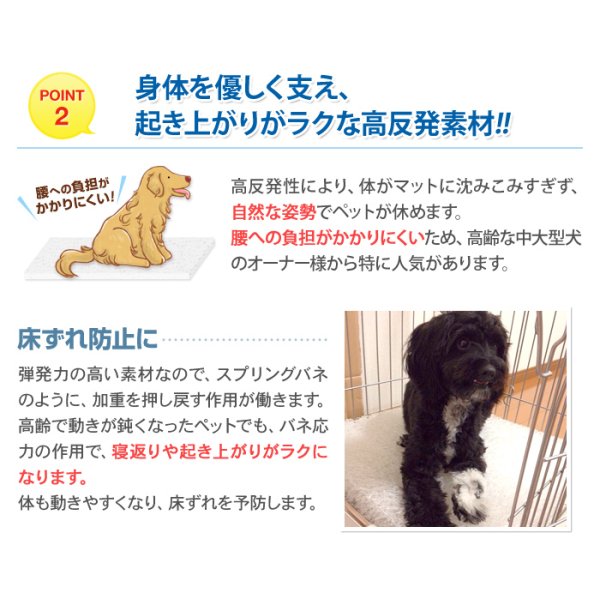 画像4: カバーなし 高反発 ペットマット 厚み3cm M/L/LLサイズ  ポリエチレン樹脂  ケアマット ドッグマット (4)